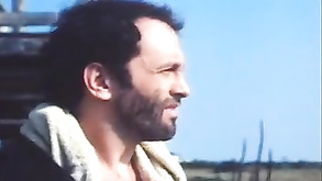 American Desire 1981