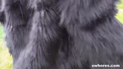 Kiwii Sweet   Our Member Is Fucking A Street Girl 24 06 2025