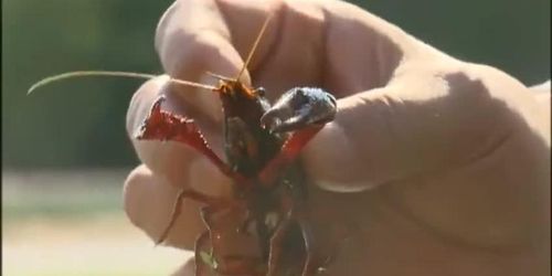 Asian Movie(???????095