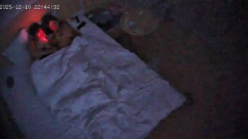 上帝視角 豪乳眼鏡妹一枚 這要是用來打奶炮 包裹嚴實 軟軟糯糯太舒服 可惜眼鏡男只知道操逼(1)