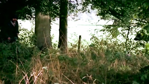 Les Zizis En Folie (1978)