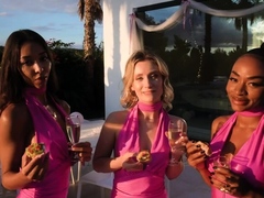 Malia Lenoir, Lily Blossom, Lia Lin   The Wedding Crasher: