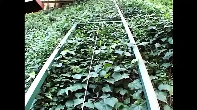 Anal Intense Fuck For A Nasty Blonde Girl