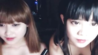 Real Korean Lesbian Teens Webcam Dec 2018 SD 480p