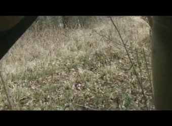 German Outdoor Quickie