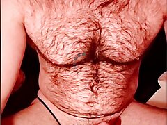 Hairy French Mule Bear Solo