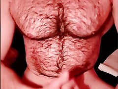 Hairy French Mule Bear Solo