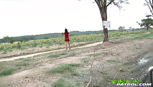 Quite Pretty Asian Bitch Kuk Kik Flashes Booty And Gets Poked Doggy Darn Great