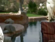 Tattoed Alien Bitches Fucked Together