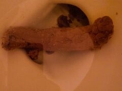 My Wife’s Big Poo