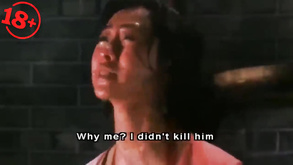 A Chinese Torture Chamber Story