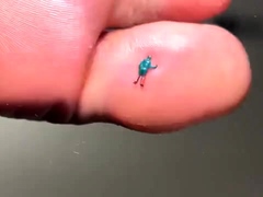 Pinkfoxx   Giantess Smashes With Flip Flops &amp; Feet