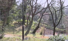 The Unexpected Gift From Chauffeur To JAV Slut Passenger