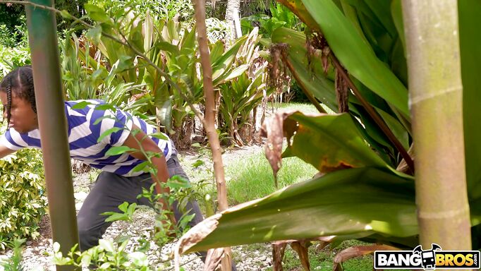 Wild Ass Found About To Swim