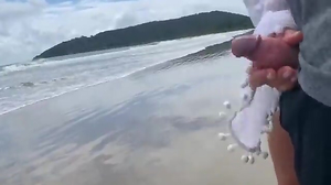 Mischievous Cougar Milks Me Off In Front Of Passersby