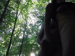 Skogvor VoRsK PHn MiLf SKf STut