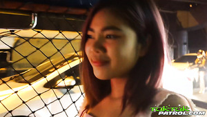 Naughty Asian Brunette Apple Gets Hairy Pussy Stretched Missionary