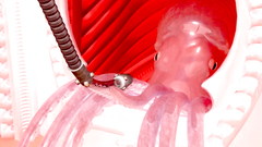 Mysterious 3D Tentacles Fucks Bound Girl In Her Wet Pussy