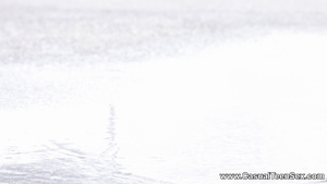 Casual 18yo Ariana Shaine Girl Fornicates On The Bed