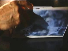 Amateur Blowjobs With Horny Big Titted Brunettes