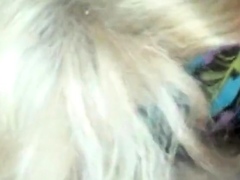 Single American Mom Loves Sucking Cock