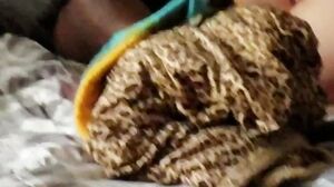 Came Home And Caught Wife Fucking